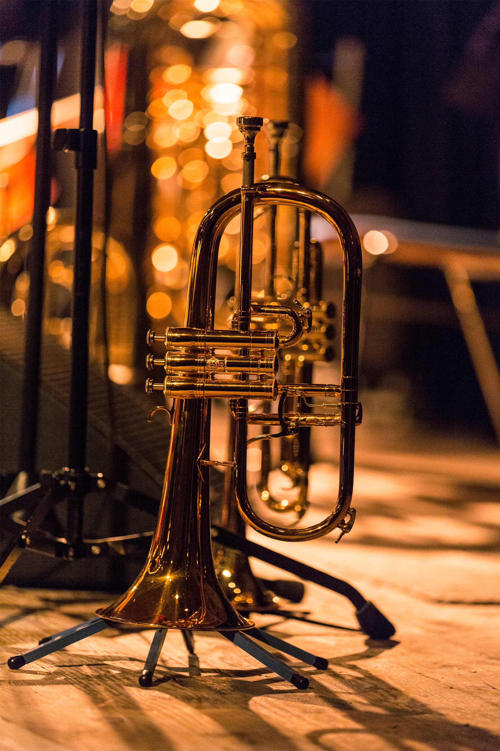 Horn